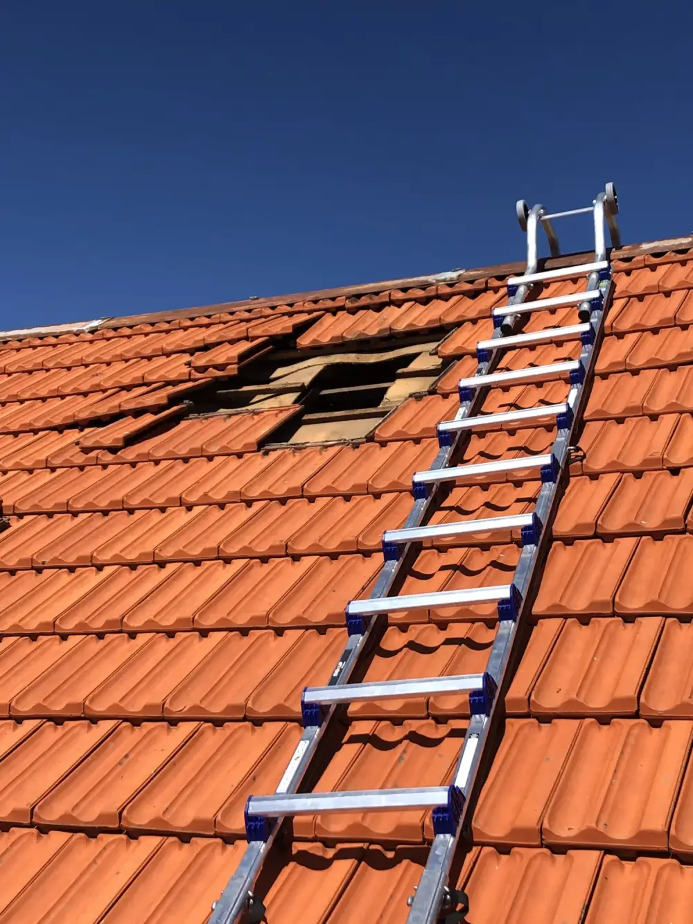 rénovation toiture